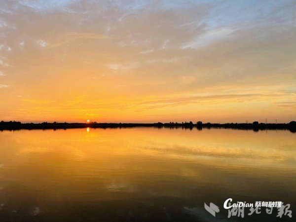 股票配资开户官网 蔡甸：沉湖湿地七月天，云蒸霞蔚鹭蹁跹