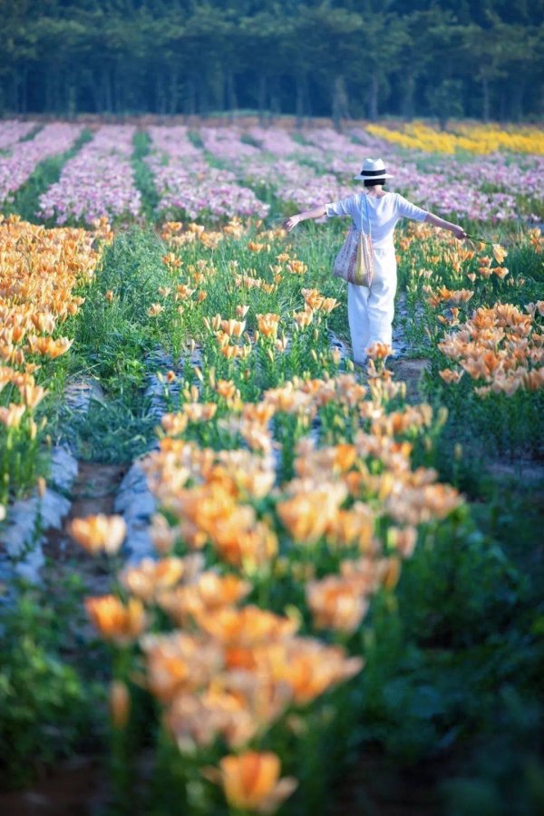 配资开户门户导航 日照又上新了！夏日最仙打卡地，就在鸥语河畔！