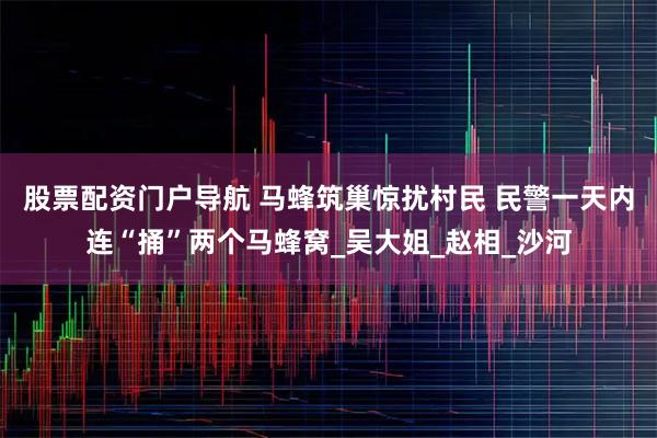 股票配资门户导航 马蜂筑巢惊扰村民 民警一天内连“捅”两个马蜂窝_吴大姐_赵相_沙河
