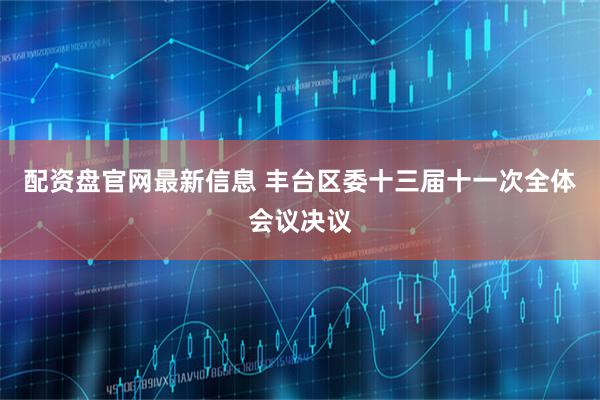 配资盘官网最新信息 丰台区委十三届十一次全体会议决议